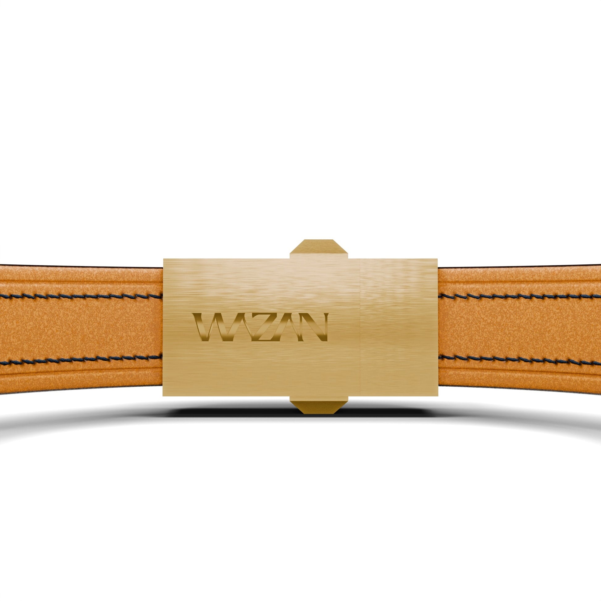 WZN Verse Blue with Yellow Gold hardware